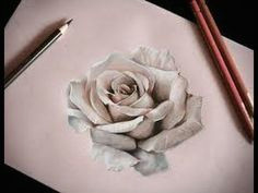 Drawing A 3d Red Rose Time Lapse 121 Best Rose Drawings Images Beautiful Flowers Planting Flowers