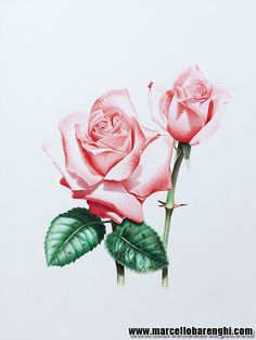 Drawing A 3d Red Rose Time Lapse 91 Best Art Marcello Barenghi Images 3d Drawings Crayons Drawings