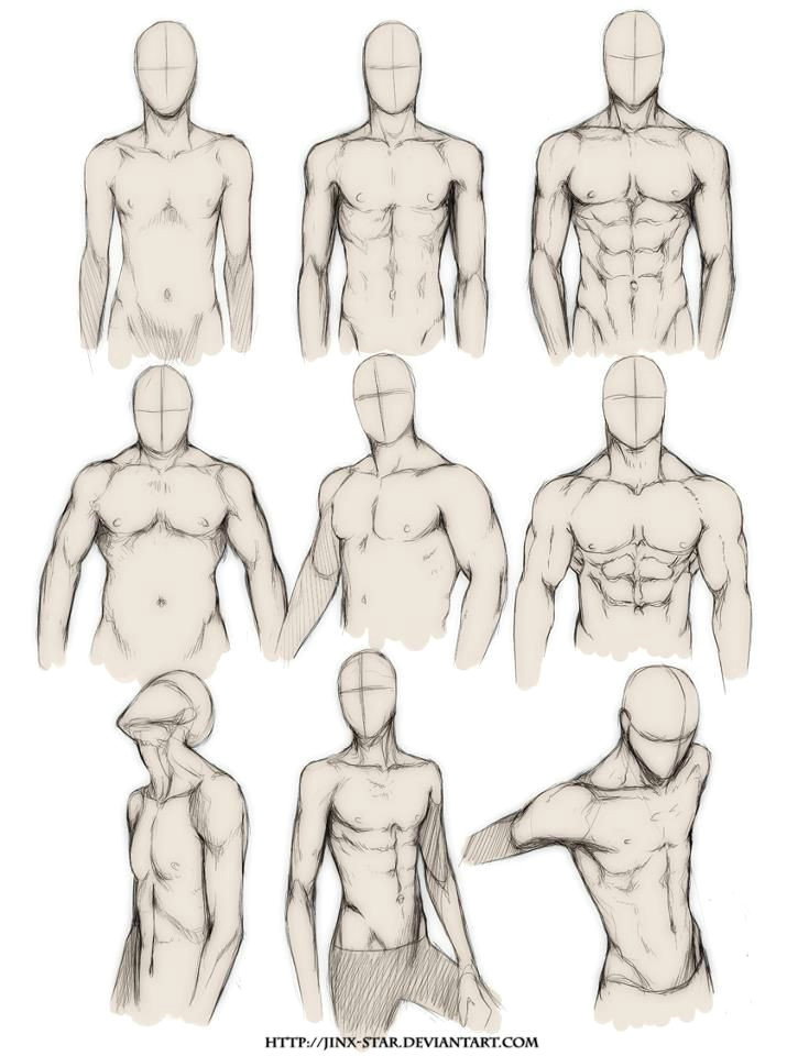 Drawing A Anime Body How to Draw the Human Body Study Male Body Types Comic Manga