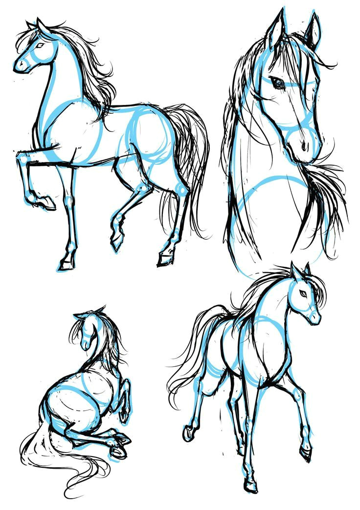 Drawing A Anime Horse Drawing Animals In Manga Letraset Blog Creative Opportunities