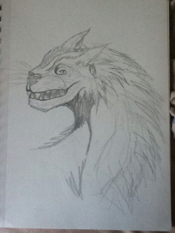Drawing A Anime Wolf A Drawing Of A Wolf Dragon I Did My Anime Furries Other Drawings I