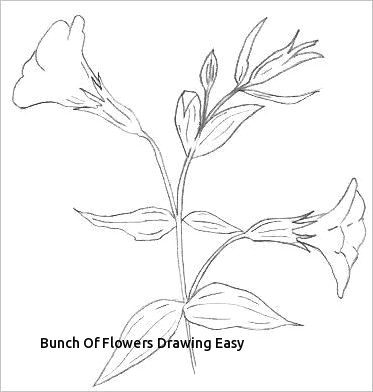 Drawing A Beautiful Rose New Easy Rose Drawing Brittartdesign Us