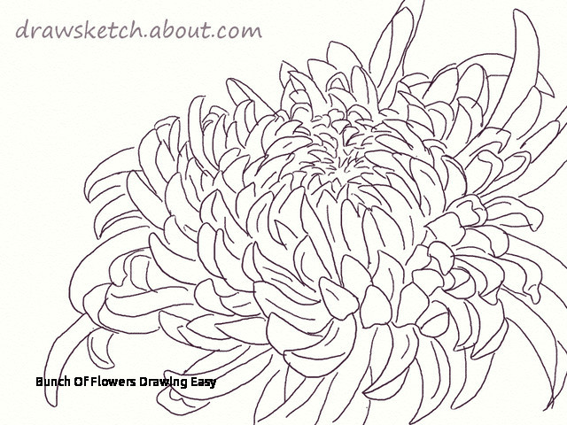 Drawing A Bouquet Of Flowers Step by Step Bunch Of Flowers Drawing Easy S S Media Cache Ak0 Pinimg originals