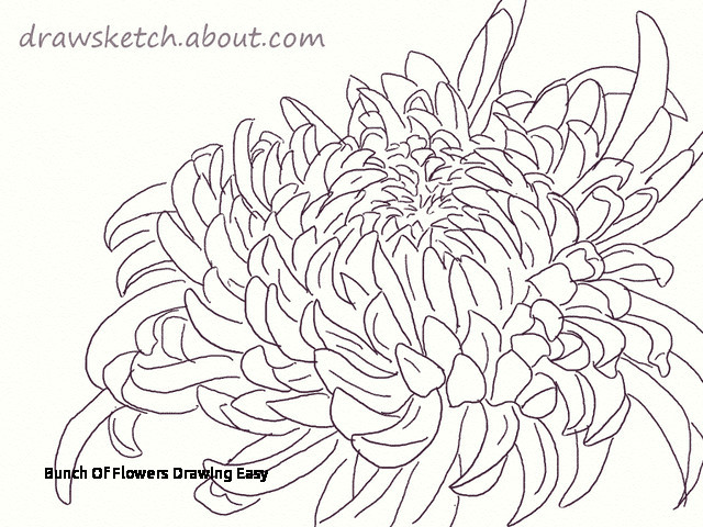 Drawing A Bunch Of Flowers Bunch Of Flowers Drawing Easy S S Media Cache Ak0 Pinimg originals