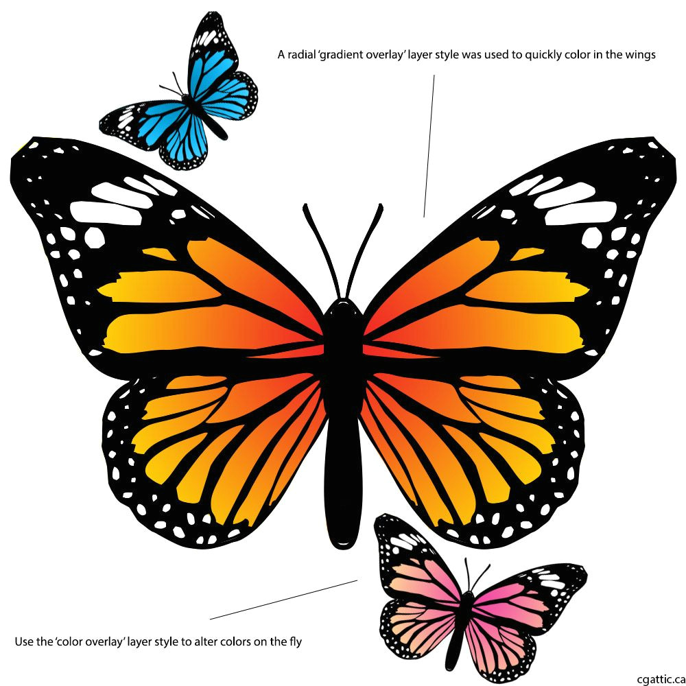 Drawing A Cartoon butterfly butterfly Cartoon Drawing In 4 Steps with Photoshop Dinosaurs