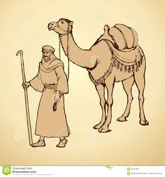 Drawing A Cartoon Camel 18 Best Camel Images Camel Camels Drawings