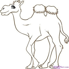 Drawing A Cartoon Camel 8 Best Camel Images Camel How to Draw Camels