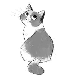 Drawing A Cartoon Cat Face 6486 Best Cat Drawing Images Cat Illustrations Drawings Cat