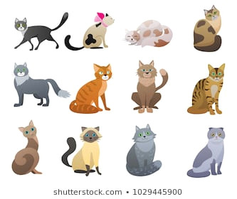 Drawing A Cartoon Cat Face Cartoon Cat Images Stock Photos Vectors Shutterstock