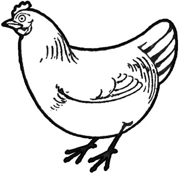 Drawing A Cartoon Chicken How to Draw Chickens Hens with Easy Step by Step Drawing Tutorial