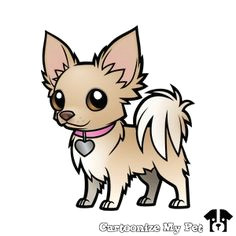 Drawing A Cartoon Chihuahua 11 Best Chihuahuas Images Chihuahua Dogs Pets Chihuahua Drawing