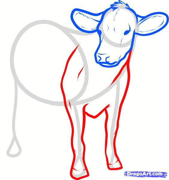 Drawing A Cartoon Cow How to Draw Cattle Step by Step Farm Animals Animals Free