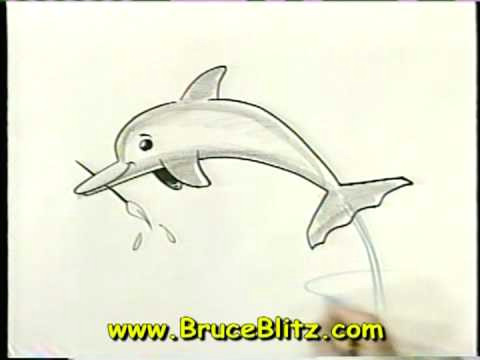 Drawing A Cartoon Dolphin Bruce Blitz How to Draw A Dolphin Youtube