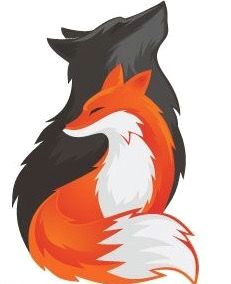 Drawing A Cartoon Fox 106 Best Fox Drawing Reference Images Fox Tattoos Foxes Drawings