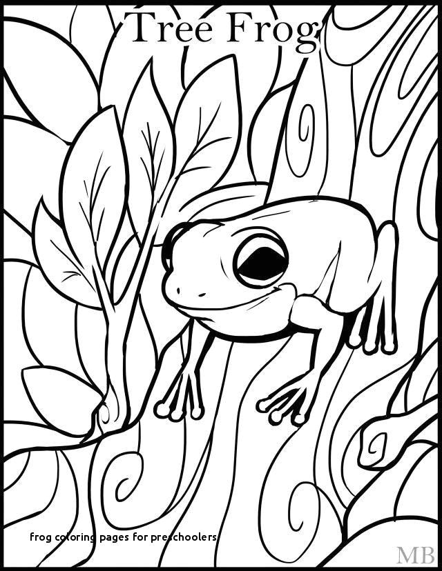 Drawing A Cartoon Frog Awesome Cartoon Frog Image Charte Graphique org