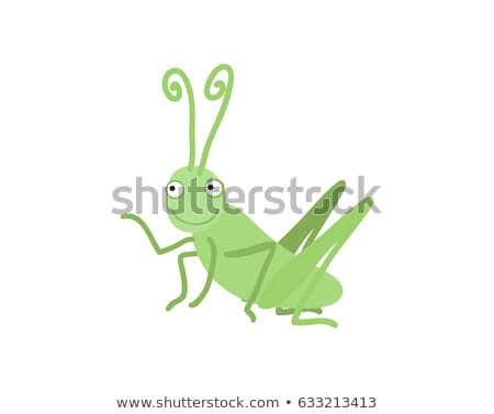 Drawing A Cartoon Grasshopper Funny Grasshopper Vector Illustration isolated On Stock Vector
