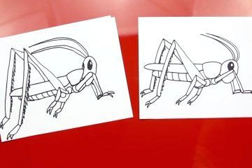 Drawing A Cartoon Grasshopper Grasshopper Thumbnail D D D N N N N D N D D Pinterest Draw