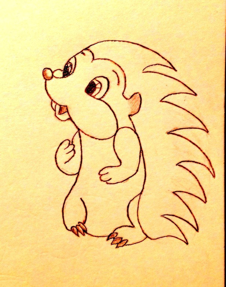 Drawing A Cartoon Hedgehog Hedgehog Drawing Cute Hedgehog Drawing by Slapshot2110 Jenna