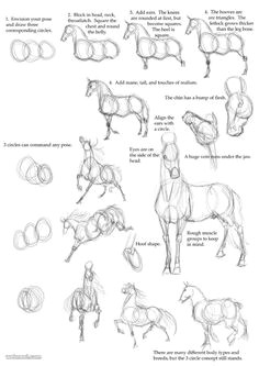 Drawing A Cartoon Horse 1087 Best Horses to Draw Images Drawings Drawings Of Horses