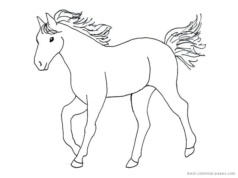 Drawing A Cartoon Horse Step by Step Simple Horse Drawings for Kids Images Pictures Becuo for Remi