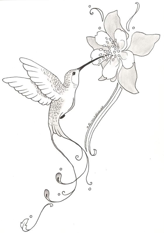 Drawing A Cartoon Hummingbird Hummingbird and Flower Pencil Drawing Google Search Tattoos