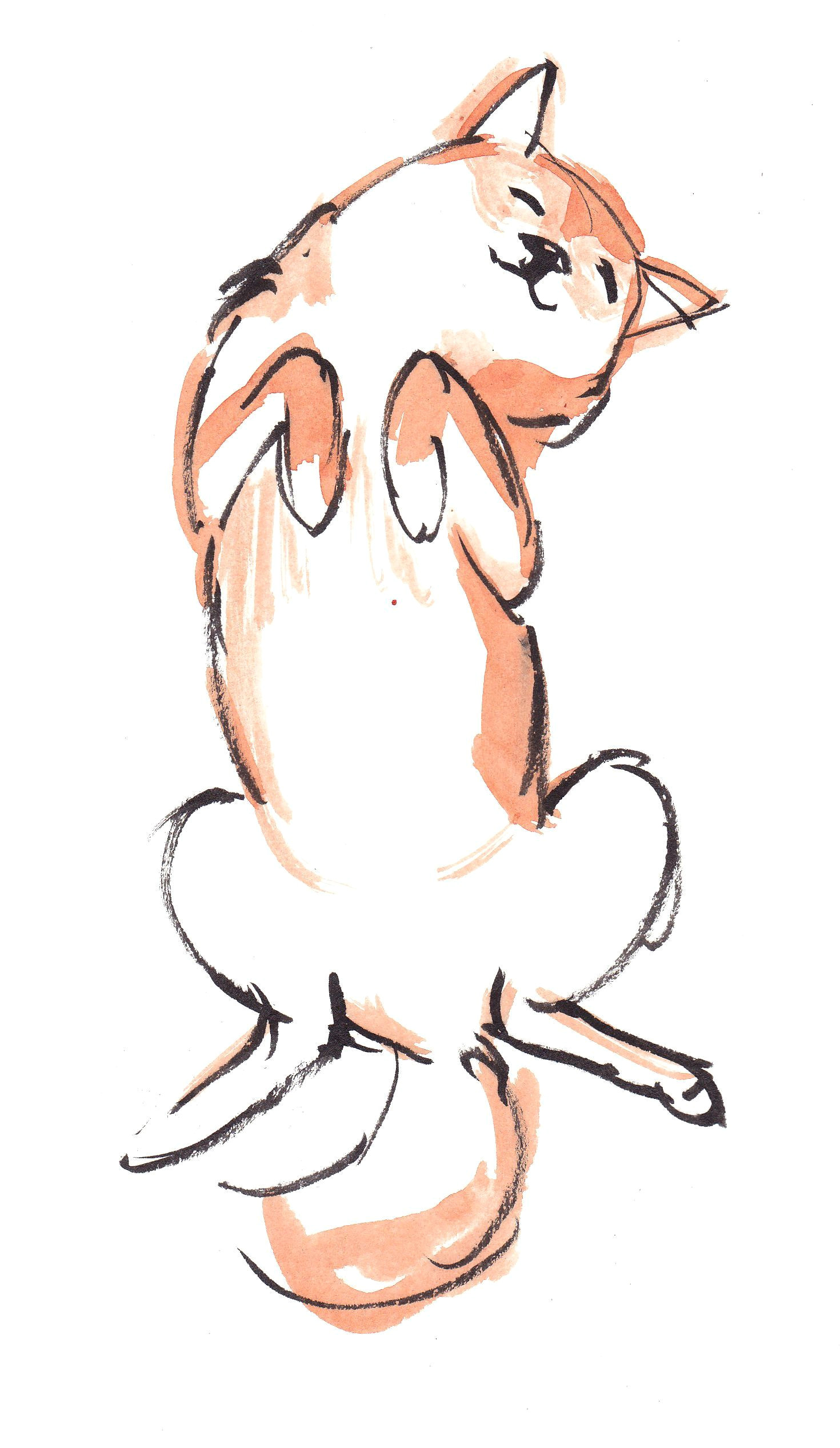 Drawing A Cartoon Husky Cute Dog Drawings Tumblr Gallery Dogdrawing Drawings