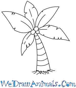 Drawing A Cartoon Leaf How to Draw A Palm Tree