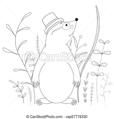 Drawing A Cartoon Mole Coloring Book or Page for Children Of School and Preschool Age
