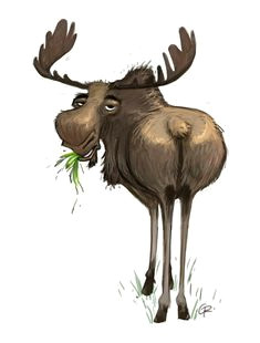 Drawing A Cartoon Moose 892 Best Animal Drawing Images In 2019 Animal Drawings Drawings Draw