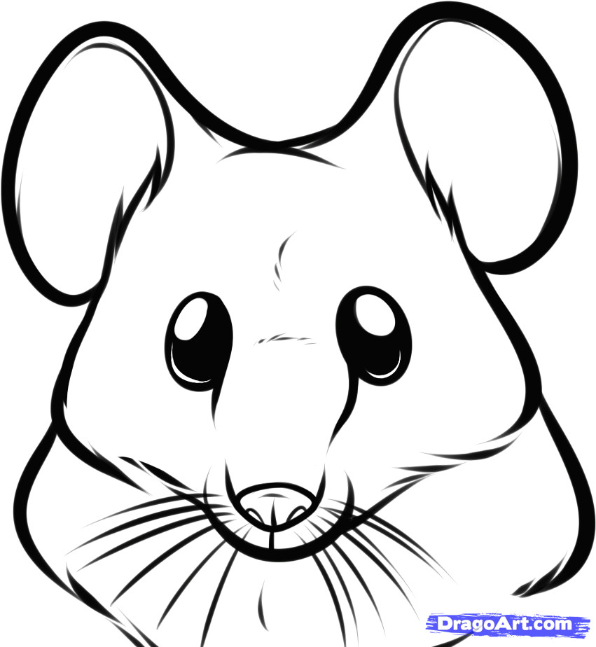 Drawing A Cartoon Mouse How to Draw A Mouse Face Step 5 Rocks Drawings Cartoon Drawings