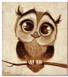 Drawing A Cartoon Owl 5535 Best Owl Drawings Images Pine Cones Pine Cone Pine Cone Crafts