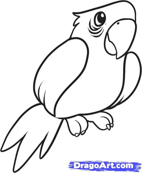 Drawing A Cartoon Parrot Easy Parrot Doodles Drawings Parrot Drawing Outline Drawings