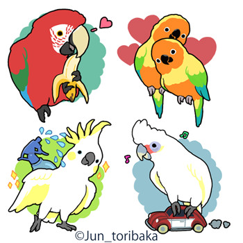 Drawing A Cartoon Parrot Illustration toribaka Creator Page Cartoon Animal Drawings