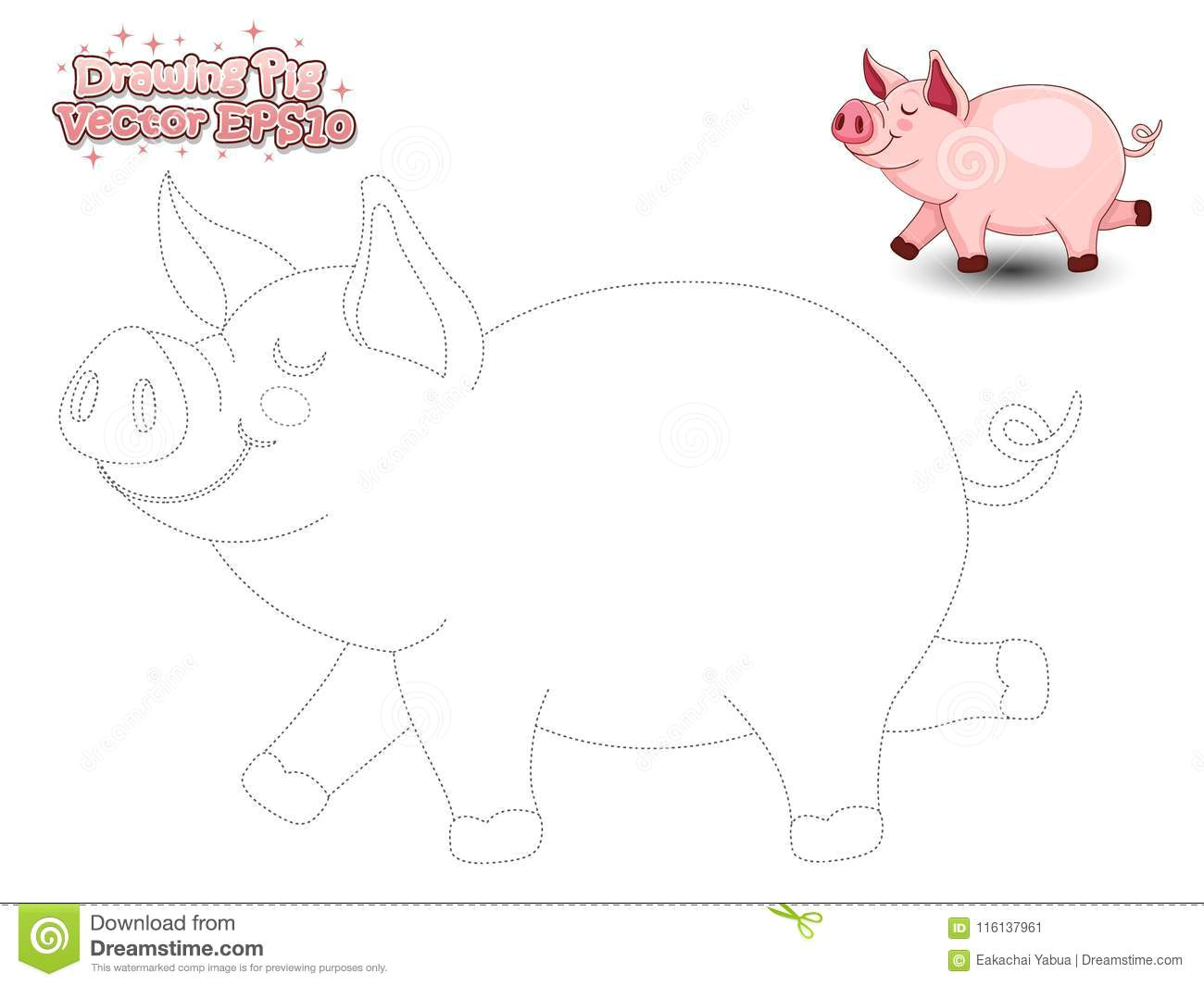 Drawing A Cartoon Pig Drawing the Cute Cartoon Pig and Color Educational Game for Kid