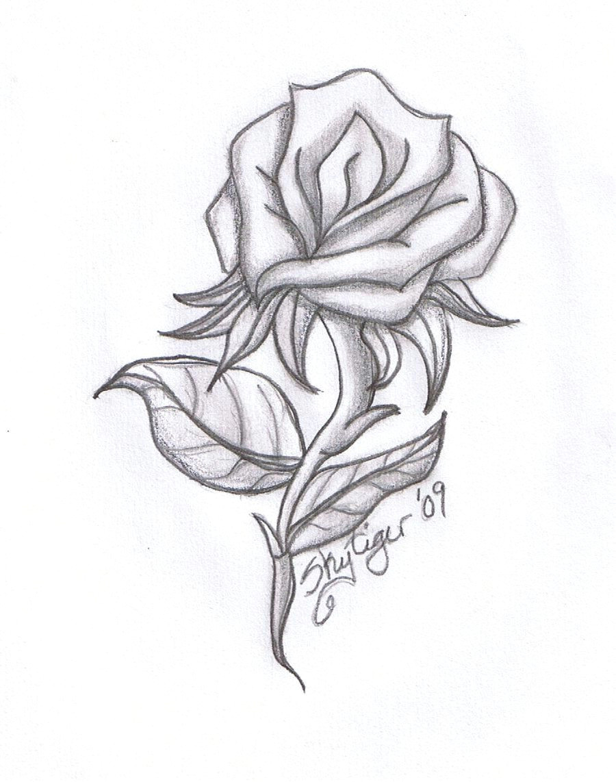 Drawing A Cartoon Rose Drawing Beautiful Roses Rose Drawings Rose Symbol Of Love Rose