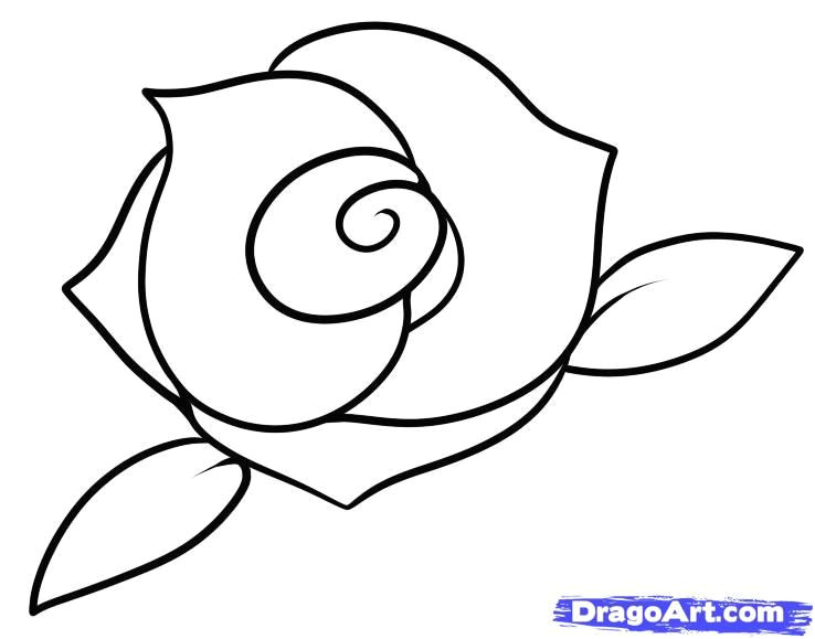 Drawing A Cartoon Rose How to Draw A Rose Step by Step Easy Google Search Draw