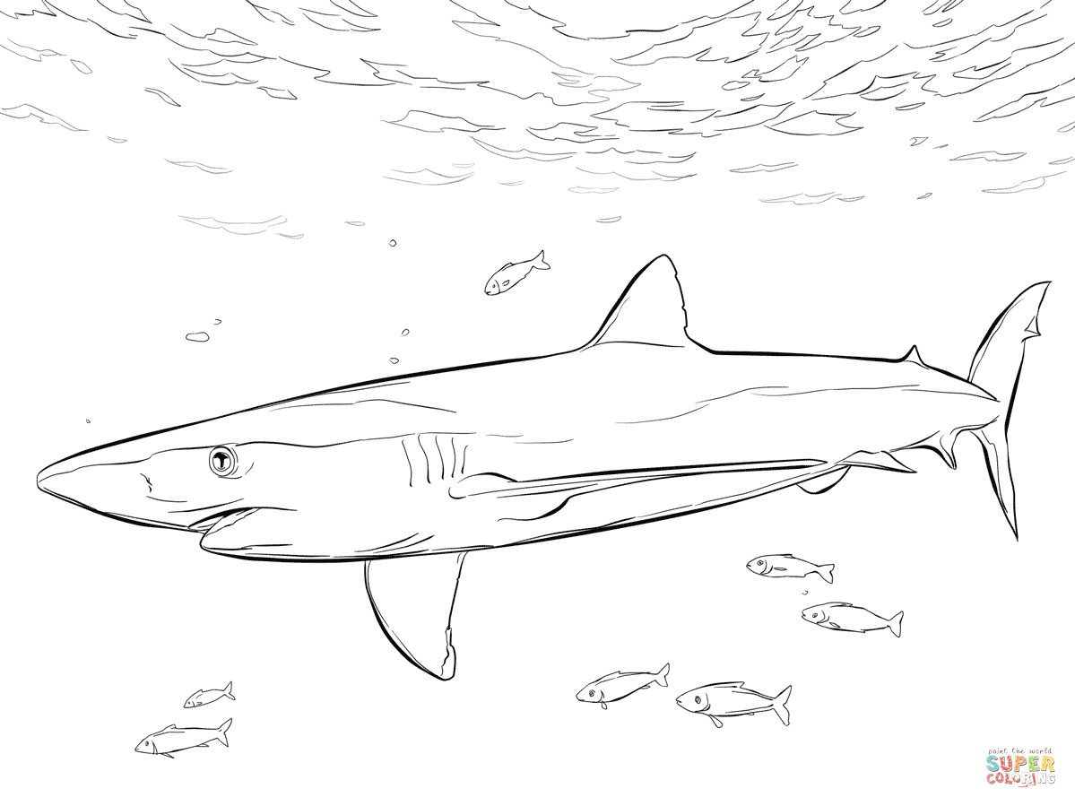 Drawing A Cartoon Shark Blue Shark with Pilot Fishes Coloring Page From Blue Sharks Category