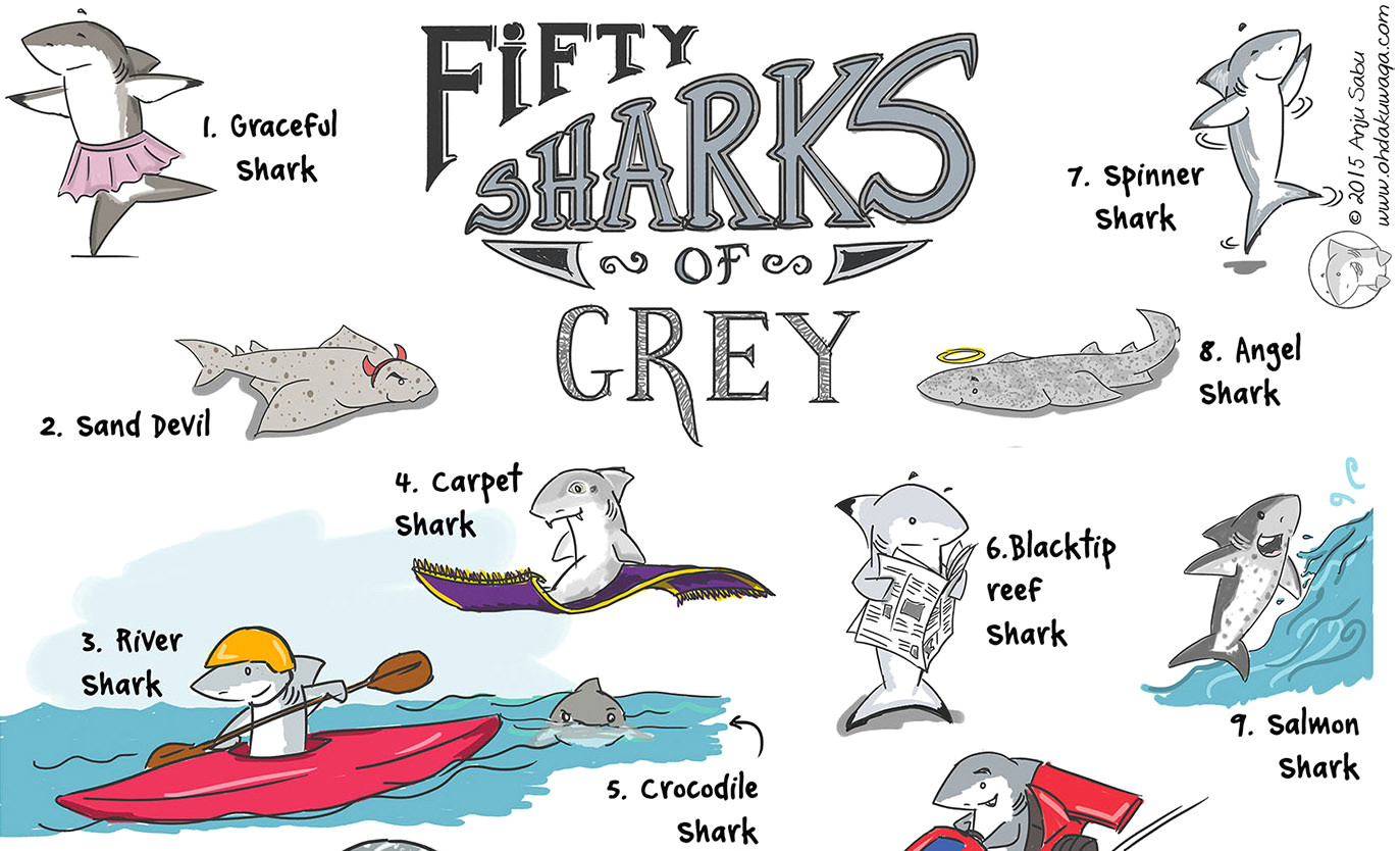 Drawing A Cartoon Shark Can Cartoons Change Peoples Misconceptions About Sharks Scuba