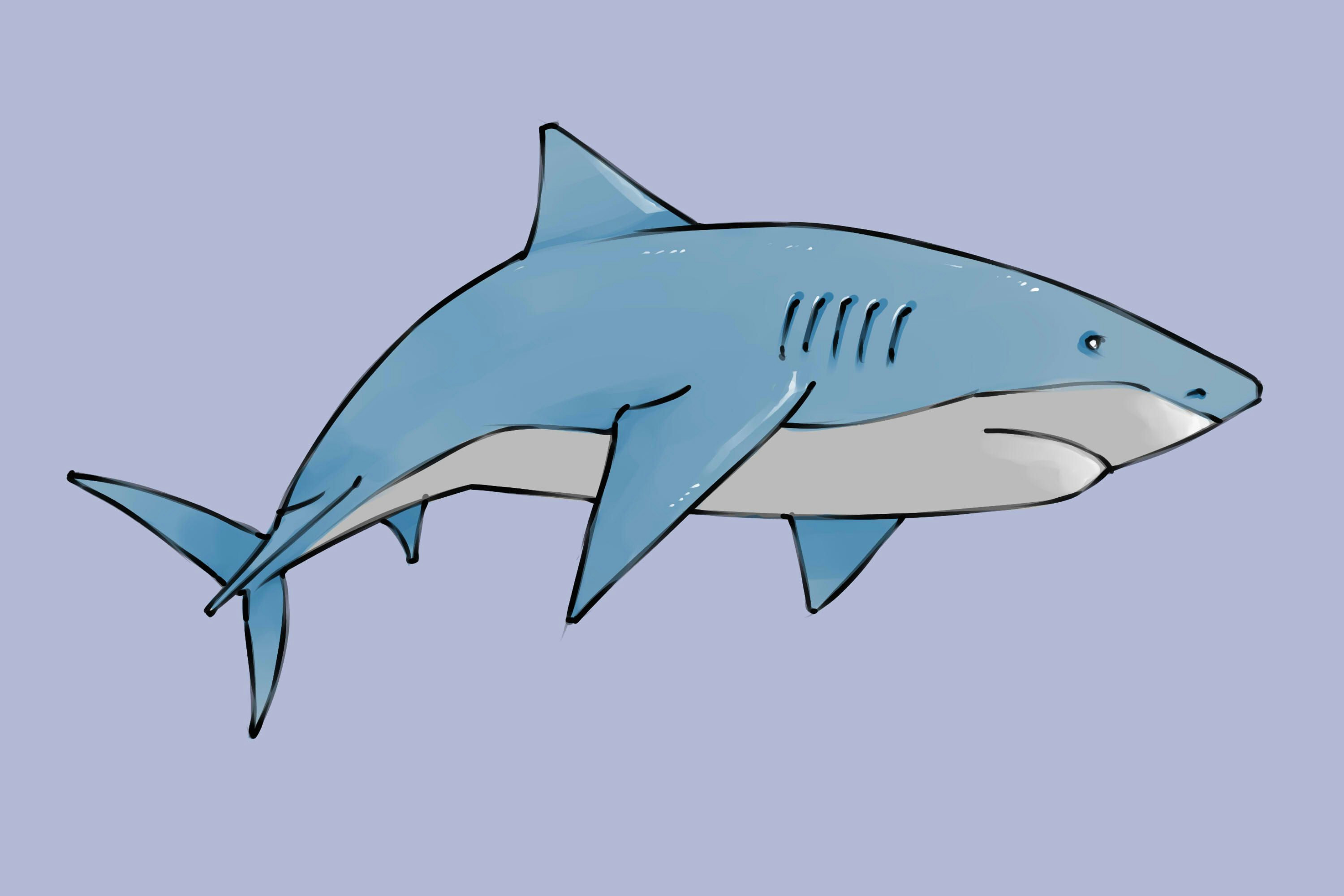 Drawing A Cartoon Shark Draw A Shark Animal Crafts Pinterest Drawings Shark and Shark
