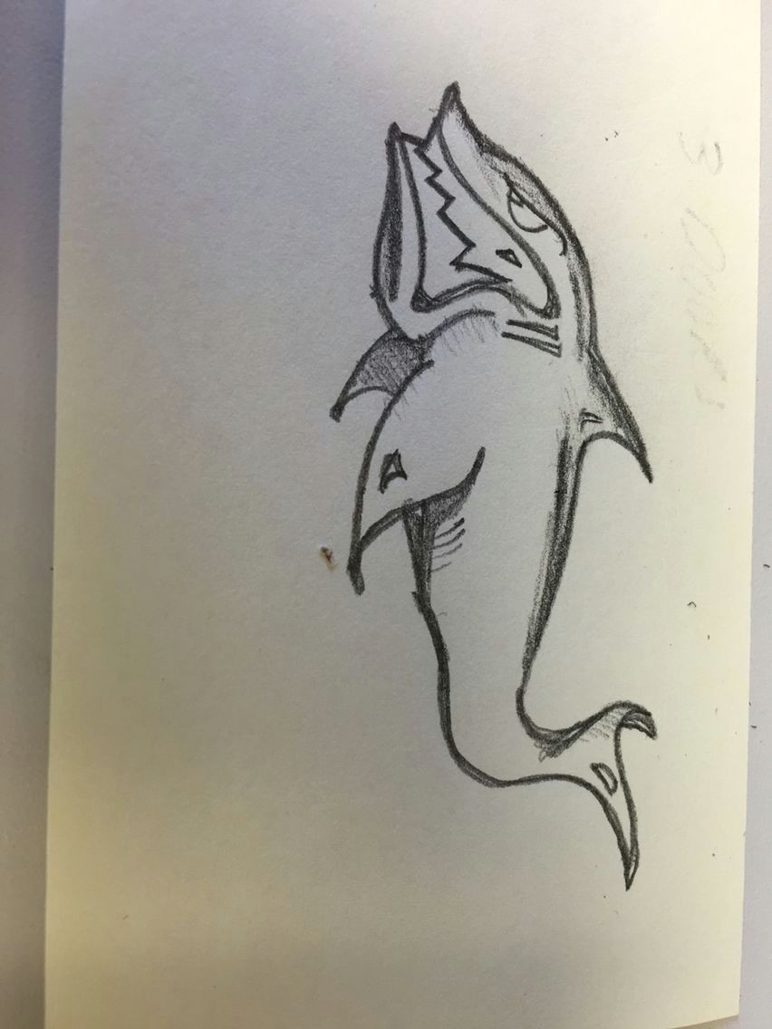 Drawing A Cartoon Shark Shark Drawing Cartoon Shark My Artwork Drawings Artwork