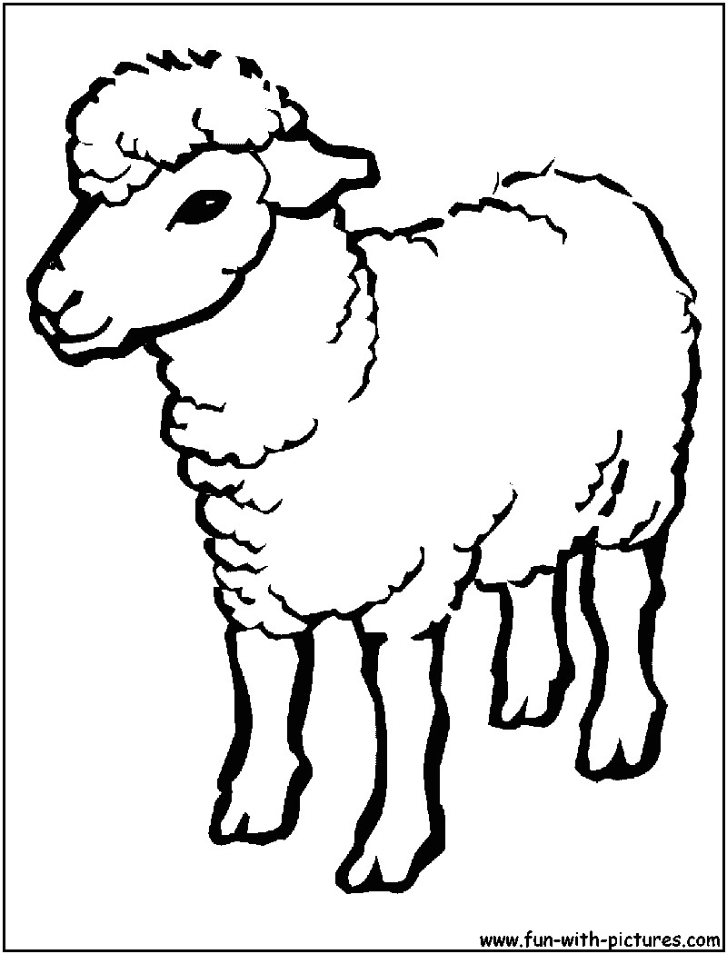 Drawing A Cartoon Sheep Sheep Coloring Page Ideas Sheep Coloring Pages Animal Coloring