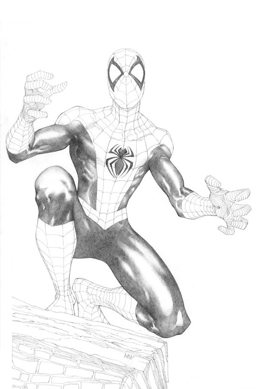 Drawing A Cartoon Spider Spider Man by Steve Mcniven Spiderman Spiderman Spider Comics