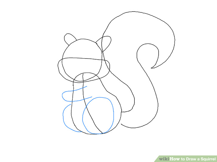 Drawing A Cartoon Squirrel 4 Easy Ways to Draw A Squirrel with Pictures Wikihow