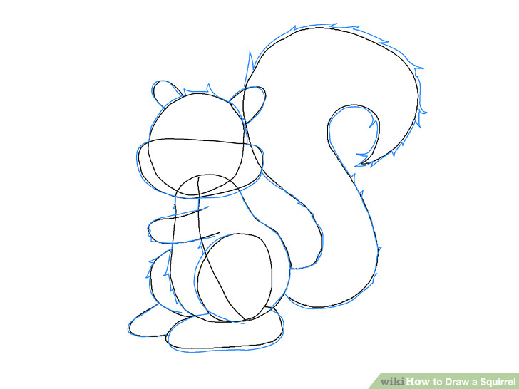 Drawing A Cartoon Squirrel 4 Easy Ways to Draw A Squirrel with Pictures Wikihow
