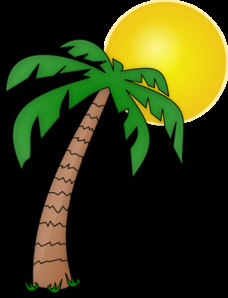 Drawing A Cartoon Tree Pics for Cartoon island with Palm Tree Cartoon Drawings