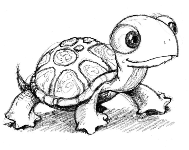 Drawing A Cartoon Turtle Cute Little Anime Turtle Google Search Baby Animals Drawings