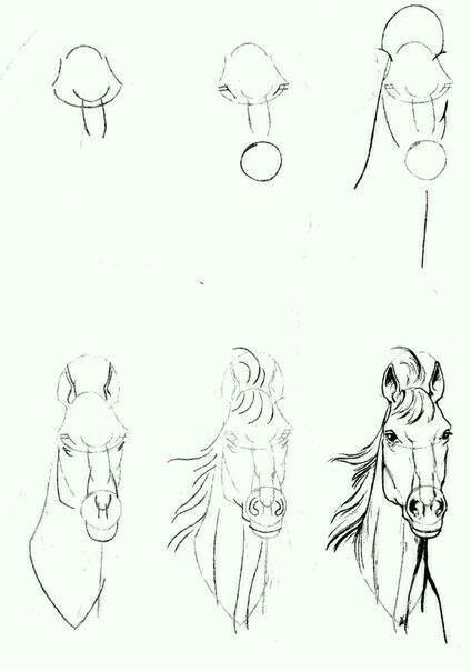 Drawing A Cartoon Unicorn Head Pysk Konia Od Przodu Ideas Pinterest Ca Mo Dibujar Como