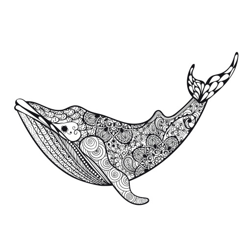 Drawing A Cartoon Whale Killer Whale Coloring Page Zentangles Whale Coloring Pages
