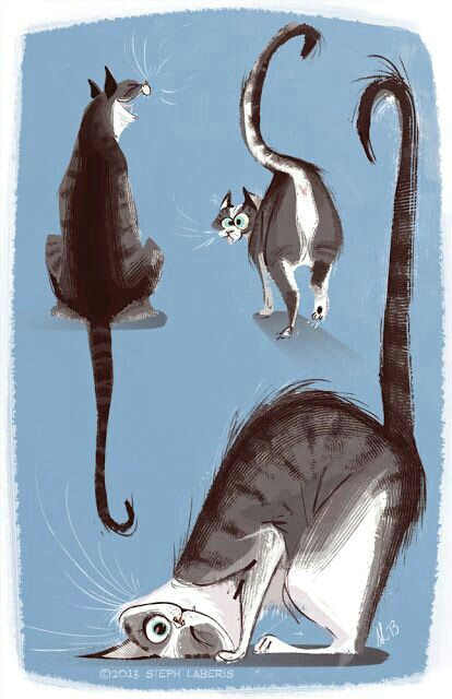 Drawing A Cat Body Mi Tablero Body Art Pinterest Cat Illustrations and Animal