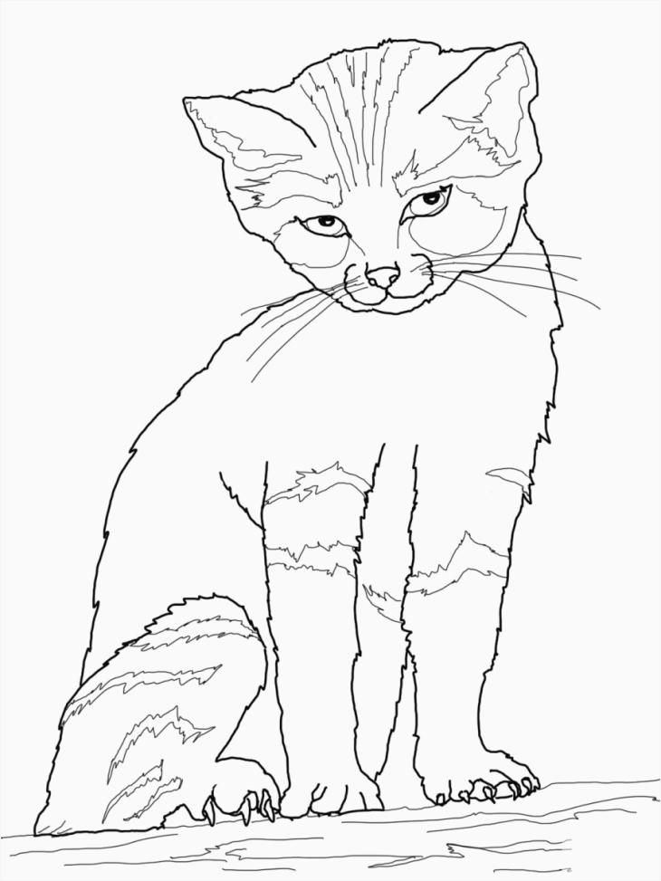 Drawing A Cat Face for Halloween Halloween Cat Coloring Pages Beautiful Cats Coloring Pages Dog and